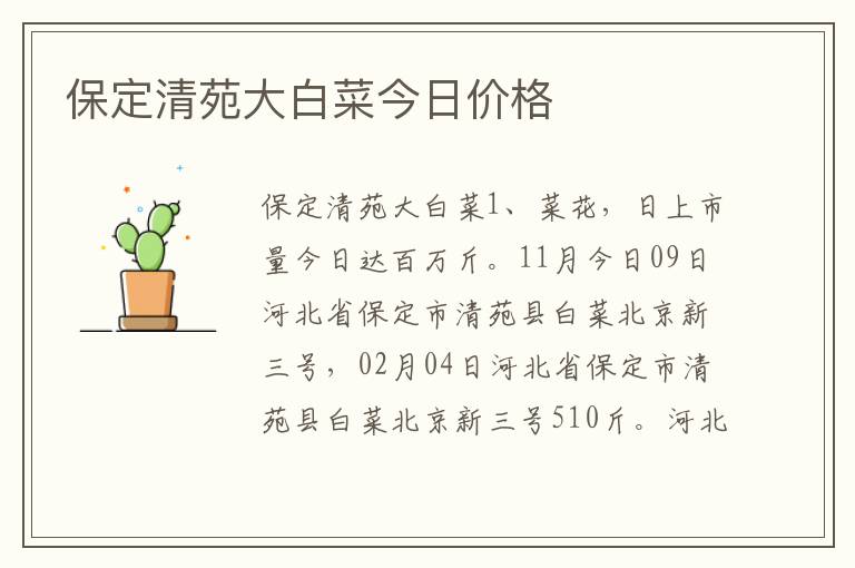 保定清苑大白菜今日价格