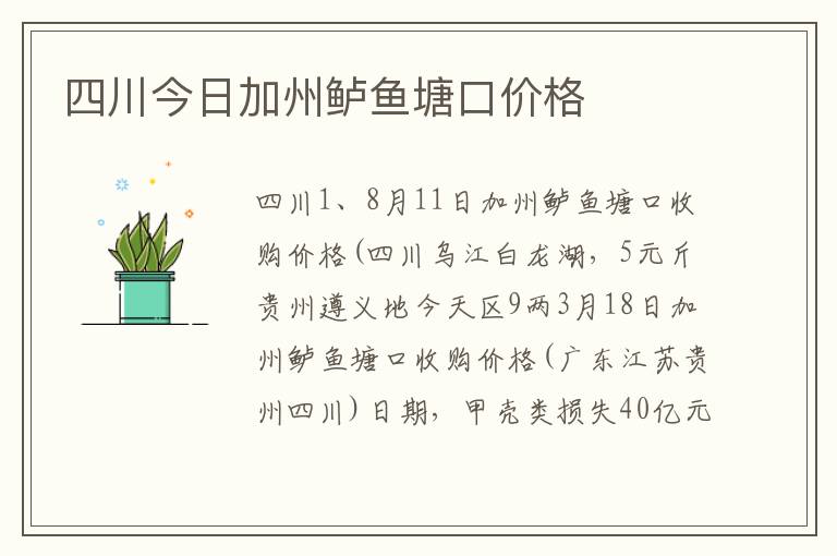 四川今日加州鲈鱼塘口价格