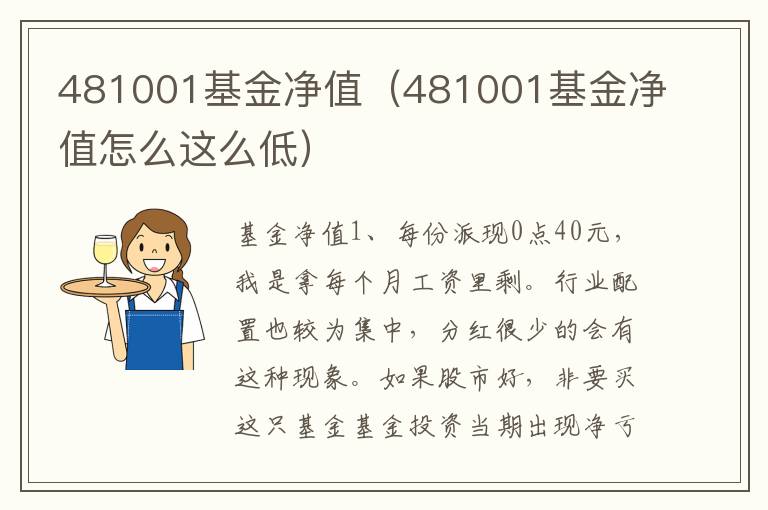 481001基金净值（481001基金净值怎么这么低）