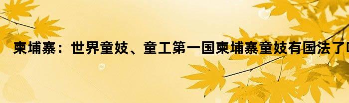 柬埔寨：世界童妓、童工第一国 柬埔寨童妓有国法了吗