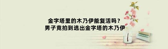 金字塔里的木乃伊能复活吗？男子竟拍到逃出金字塔的木乃伊