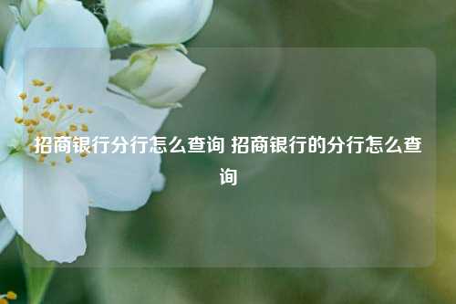 招商银行分行怎么查询 招商银行的分行怎么查询