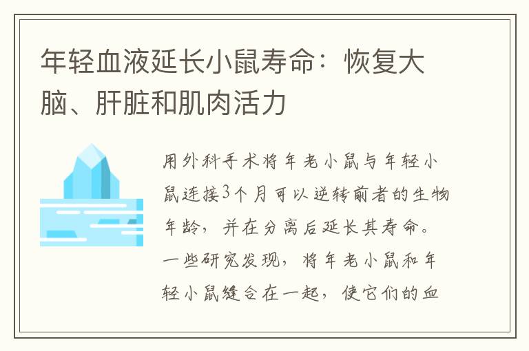 年轻血液延长小鼠寿命：恢复大脑、肝脏和肌肉活力