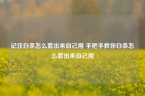 记住白条怎么套出来自己用 手把手教你白条怎么套出来自己用