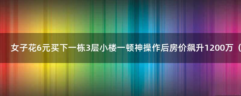 女子花6元买下一栋3层小楼 一顿神操作后房价飙升1200万（图）