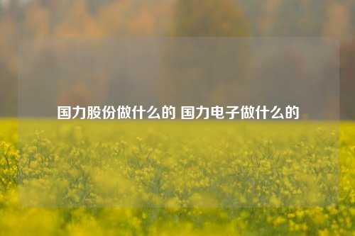 国力股份做什么的 国力电子做什么的