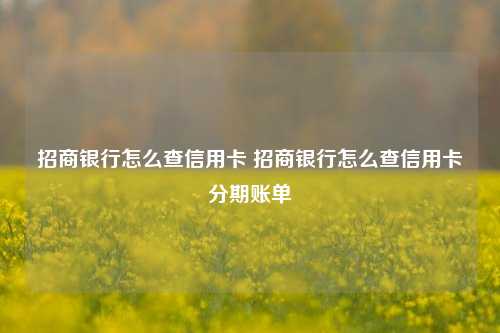 招商银行怎么查信用卡 招商银行怎么查信用卡分期账单