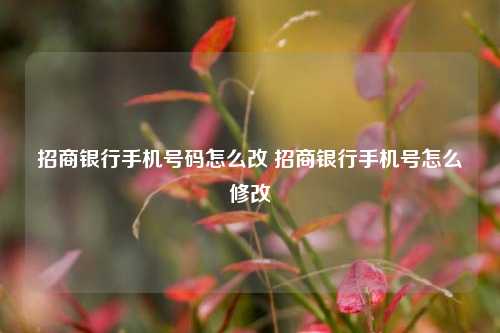 招商银行手机号码怎么改 招商银行手机号怎么修改