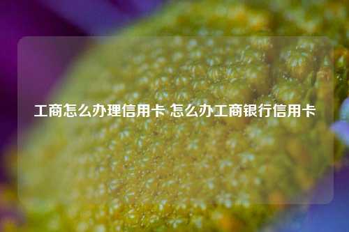 工商怎么办理信用卡 怎么办工商银行信用卡