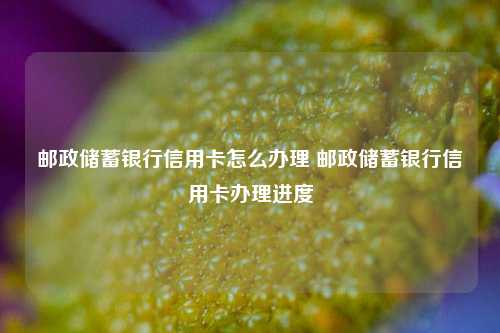 邮政储蓄银行信用卡怎么办理 邮政储蓄银行信用卡办理进度