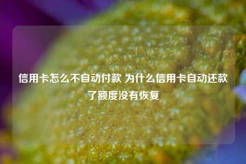 信用卡怎么不自动付款 为什么信用卡自动还款了额度没有恢复