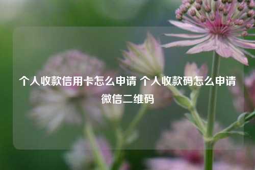 个人收款信用卡怎么申请 个人收款码怎么申请微信二维码