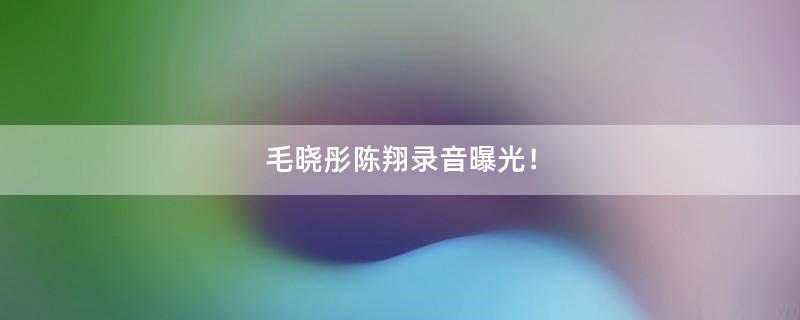 毛晓彤陈翔录音曝光！