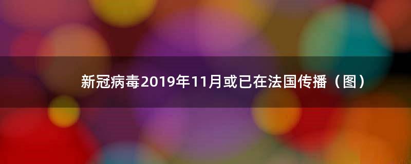 新冠病毒2019年11月或已在法国传播（图）