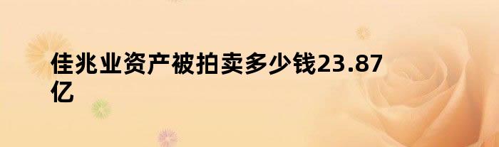 佳兆业资产被拍卖多少钱 23.87亿