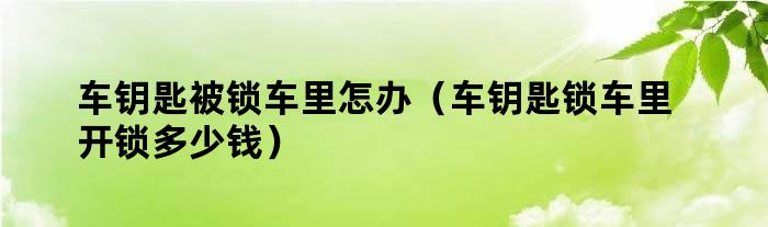 车钥匙被锁车里怎办（车钥匙锁车里开锁多少钱）