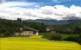 【干货！建议收藏】直播间6大场景100条话术，总有一条用得上